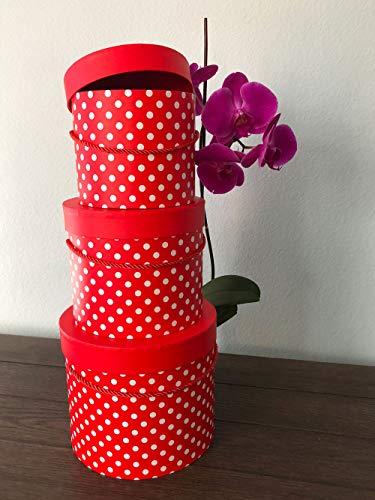 UNIKPACKAGING Premium Quality Round Flower Box, Gift Boxes for Luxury Flower and Gift Arrangements, Set of 3 pcs, (Red White Dots) - color: Red White Dots
