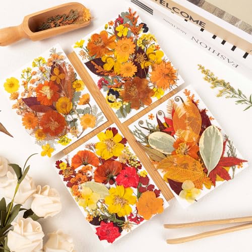 140 Pcs Fall Dried Pressed Flowers with Tweezer, Fall Themed Real Dried Flowers Leaves for DIY Crafts Resin Molds, Yellow Orange Dried Flowers for Autumn Halloween Thanksgiving Decorations - size: Fall