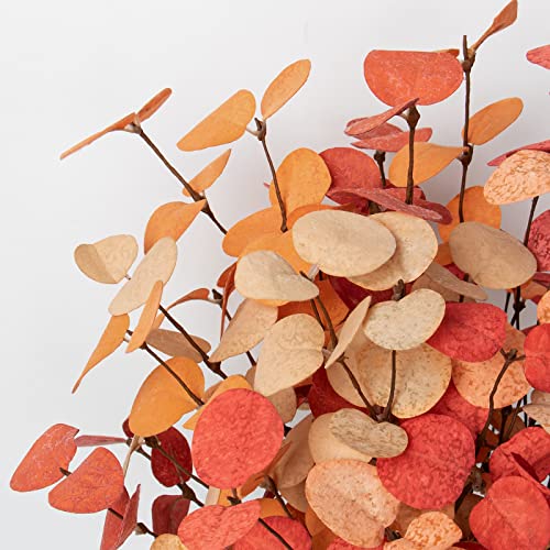 Beferr Fall Eucalyptus Stems Decor, 5Pcs 24" Faux Eucalyptus Branches Artificial Autumn Plants Decorations Fall Floral Arrangements Farmhouse Home Table Centerpiece - color: Orange Eucalyptus