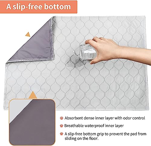 Dog Grass Pet Loo Indoor/Outdoor Portable Potty, Dog Litter Box, Artificial Grass Patch Bathroom Mat and Washable Pee Pad for Puppy Training, Full System with Trays (Pet Training Tray, 20"x16") - size: 20"x16"（4 Layer Potty System)