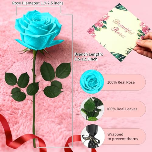 Light Blue Single Forever Roses in a Box,Preserved Flowers for Delivery,Preserved Rose Gifts for Women, Real Roses Gift, Mom Birthday Gifts, Mothers Day Flowers,Valentines Flowers - color: LIGHT BLUE-window