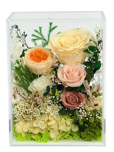 Valley of Rain & Forest Long-Lasting Real Flowers With Delivery | Handcrafted Preserved Rose Bush For You to Send Love for All Occasions, Indoor Floral Decor (Forever Yellow Rose Arrangement) - color: Yellow Champagne Rose