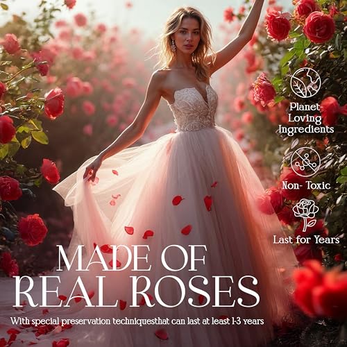 GLAMOUR BOUTIQUE Preserved Roses in a Box - Gifts for Her, Wife & Mom, Rose Flowers Forever Decor for Birthday Gift, Get Well Flower Bouquet Cased in White Box with Cover - Red - 27 (Color-Treated) - color: Red, size: 27 Roses Heart Box