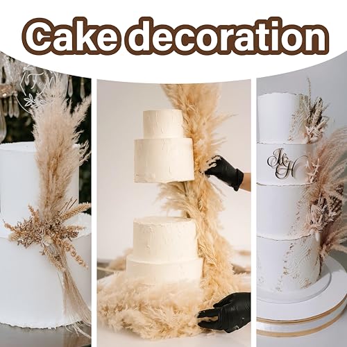 40 PCS Tall Pampas Grass for Floor Vase – 17" Natural Fluffy Dried Pampas Grass Stems, Large 20 White & 20 Brown Pоmpas Grass, Boho Pampas for Wedding, Home Decor, Halloween, Christmas