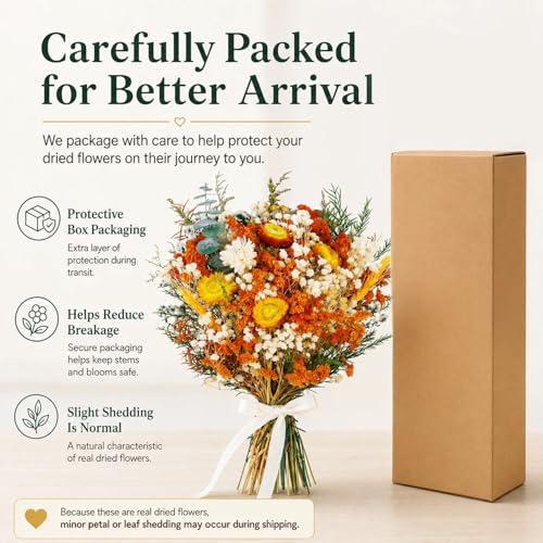 17" Dried Flower Bouquets, 100% Natural Dried Flowers with Dried Daisy,Dried Baby Breath,Chrysanthemum Flowers Decor for Vase Rustic Boho Home Decor,Party Fall Decor - color: Orange Daisy