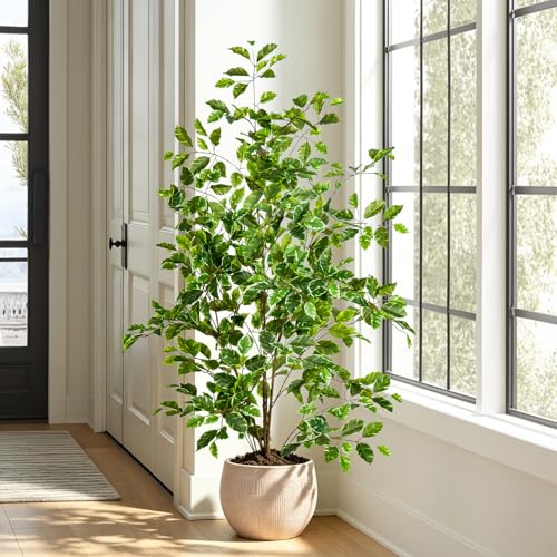 Bailikang Artificial Ficus Tree Indoor 4ft, Large Potted Faux Tree with Realistic Silk Leaves & Trunk for Home Office, Living Room Corner Decor - color: White Green, size: 4ft