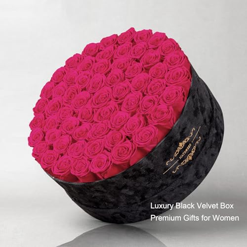 Gifts for Women – NATROSES 60 Preserved Roses in Luxury Black Velvet Box, Preserved Flowers for Delivery Gift for Her, Elegant Rose for Birthday, Mother’s Day, Christmas (Hot Pink) - color: Hot Pink, size: 60 Roses