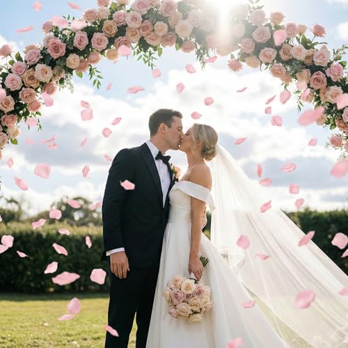 Anwyll 3000Pcs Pink Rose Petals - Artificial Faux Flowers Fake Rose Petals for Wedding Proposal Engagement Romantic Night Anniversary Valentine's Galentine's Day Decoration Home Room Party Decor - color: Pink