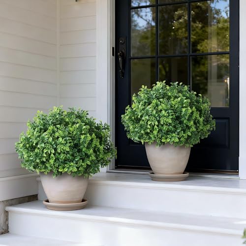 Set of 2 Artificial Boxwood Topiary Ball Trees for Front Door - Realistic Faux Aglaia Odorata Bush with Pot, Fake Eucalyptus Leaves Potted Plants for Porch Farmhouse Outdoor Decor (Green)