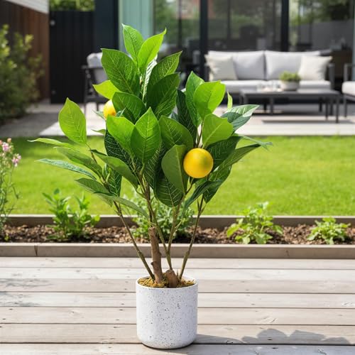 2Pcs 19.7" Artificial Lemon Trees with White Pot, Faux Small Citrus Fake Plants with Vivid Leaves and Realistic Lemons for Indoor Home Office Shelf Decor, Home Accent Gift - size: 4 x 4 x 15.8 inches