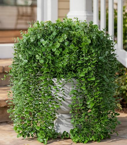 Faux Outdoor Plants Fake Hanging Plants for Outdoors Outside Decorations, 2 Pcs Green Faux Eucalyptus Vines Realistic UV Resistant Artificial Greenery for Planters Porch Garden Yard Front Door Patio - color: Eucalyptus Vine-darkgreen