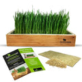 Rabbit Grass Growing Kit – Easy, Self-Watering System for Fresh, Healthy Indoor Greens - color: Rabbit Grass Kit