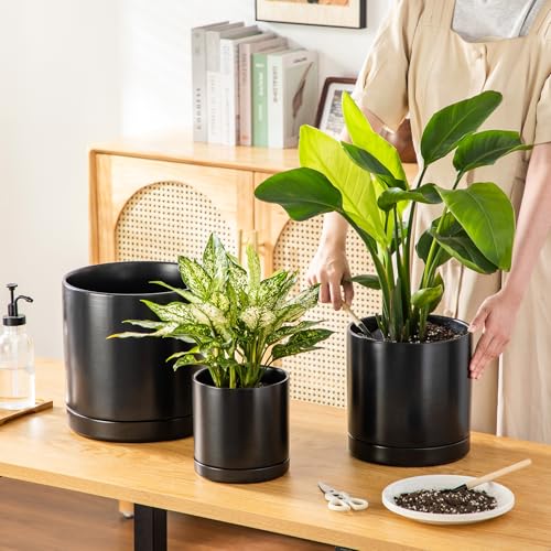 vancasso Ceramic Planters, Plant Pots for Indoor Plants, 6.25+8.25+10.25 Inch Ceramic Pots for Plants, Flower Pots with Drainage Holes (Black, 6.25+8.25+10.25 Inch) - color: Black, size: 6.25 + 8.25 + 10.25 Inch