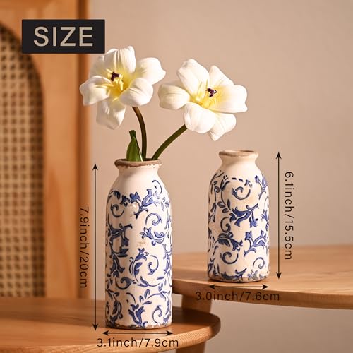 VICTOR & TERESA Blue and White Ceramic Vases Home Decor, Farmhouse Vase for Flowers, Flower Vase Set of 2, Rustic Decorative Vases for Pampas Grass, Table, Living Room, Shelf, Centerpieces, 8 inch - color: Blue and White