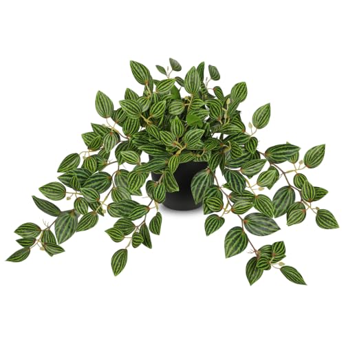 Briful Artificial Potted Plant Indoor, 19.6" Faux Watermelon Peperomia Trailing Plant in Black Pot, Realistic Fake Plants with Cascading Green Leaves for Shelf Bathroom Office Desk Kitchen Home Decor - color: Green Black Pot