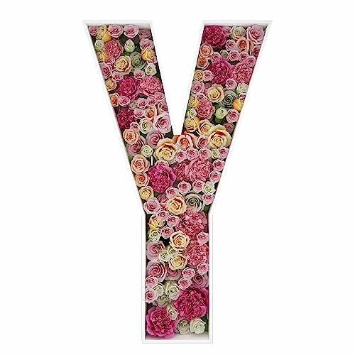 2FT Letter Y Mosaic Balloon Frame Letter DIY Fillable Letters Kit for Birthday Party Wedding Backdrop Decor - color: Letter Y, size: 2FT