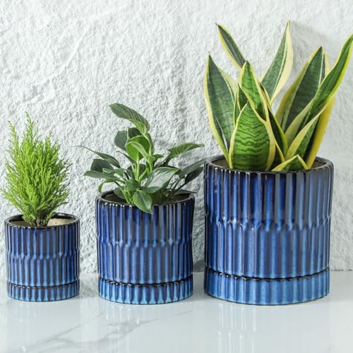HASENSE Ceramic Plant Pots Set of 3 (8+6+4.6 Inch), Flower Planters with Drainage Hole and Saucer, Indoor Planter Pots for Succulents, Herbs, Ideal for Home Office Desktop Garden Decor(Blue) - color: White (Ribbed)