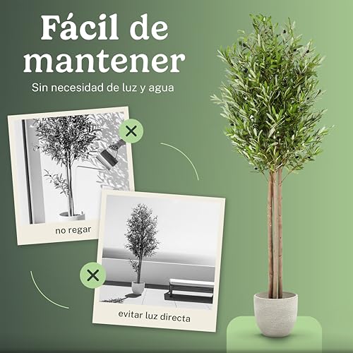 Maia Shop 7ft Artificial Olive Tree Plant for House, Apartment or Office – Realistic Fake Indoor Plants for Living Room, Bedroom, Bathroom, Entryway - color: Olive, size: 6ft 5in