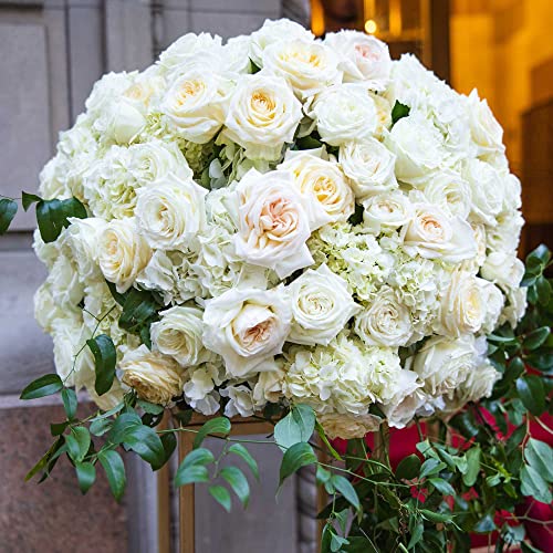 Max Shape Round Floral Foam Blocks,Large Dry Floral Foam for Artificial Flowers,Craft Project,Wedding Aisle Flowers,Arty Decoration 6 Pack (7.87'') - size: 7.87''