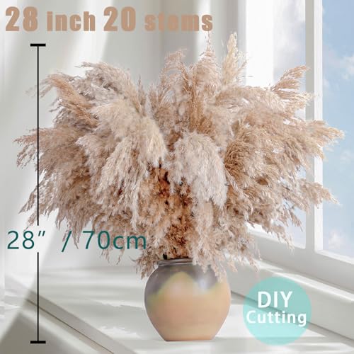 20 Stems 28" Large Brown Pampas Grass - Natural Fluffy Pompas Grass Bulk for Floor Vase - Boho Decor Home Wedding Event Decor, Gift - size: 20pcs brown