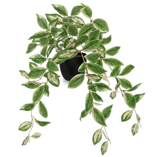 DILATATA Fake Plants Artificial Potted Plants 20 Inch Faux Peperomia Ivy Vine Plant Hanging Plant for Home Office Desk Shelf Indoor Outdoor Decor - color: Peperomia-green&pink