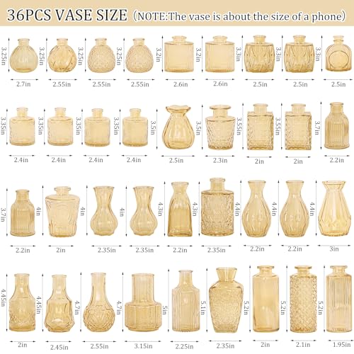 36Pcs Bud Vases Set Small Vintage Glass Bottles Bud Vases in Bulk Multiple Shape Cute Glass Vases for Rustic Wedding Centerpieces Table Decorations and Home Decor (Champagne) - color: Champagne