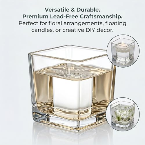 4 Pack Square Glass Vase 6" x 6" x 6", Clear Flower Vase for Centerpieces,Plant Terrarium, Floating Candle Holder for Wedding Centerpieces, Office Decorations, Home Décor, Parties and Events - size: 6"-4Pack