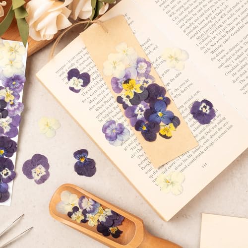 60Pcs Dried Pressed Pansies Flowers for Cake Decorating, Purple Real Dry Flower for Resin Art Crafts Jewelry Decorations - size: Purple