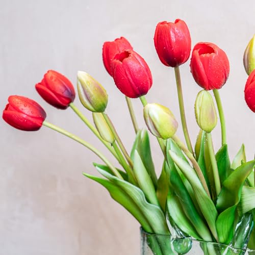 Artificial Tulips Flowers,Soft Touch Latex Bouquet, Fake Tulips,Spring Wedding Home Room Table Centerpiece Decor - color: 15pcs Red(no Vase)