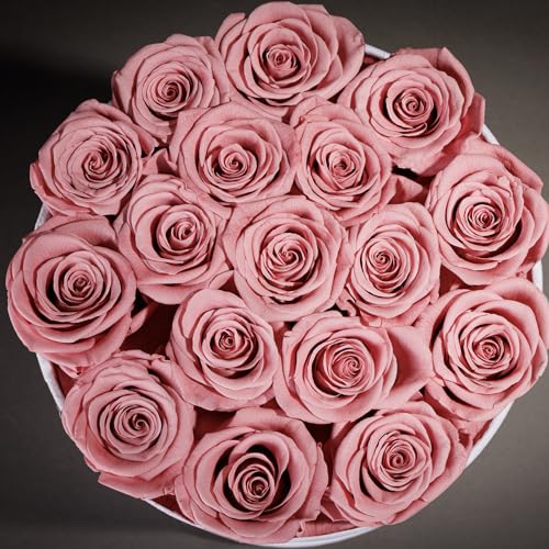 Prifroti 17 Flowers in a Luxury Suede Box, Birthday Gifts for Women, Preserved Flowers, Mothers Day Roses Gift for Mom, Dusty Rose - color: Dusty Rose, size: 17 Roses