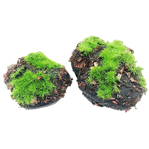 Woohome 38 PCS Faux Moss Stones Artificial Moss Rocks Decorative, 30 PCS Faux Green Moss Covered Stones und 8 PCS Sawdust Moss Decor for Fairy Gardens, Floral Arrangements, Crafting - color: 38 Pcs Sawdust-a