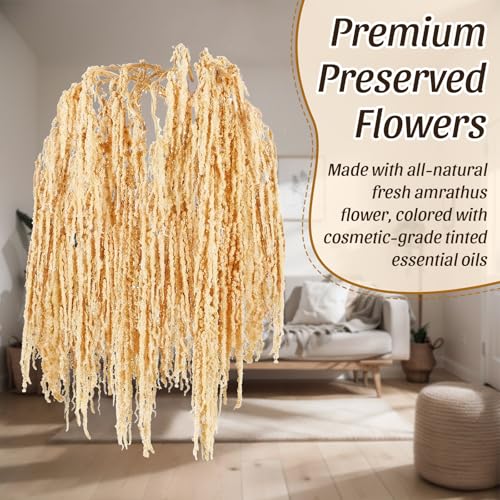 Suncalla 12 Pcs Champagne Spring Natural Dried Amaranthus Hanging Flowers Amaranthus Artificial Flowers for Wedding Arch Bouquet Floral Garland Wall Home Decoration (23 Inch) - color: Champagne