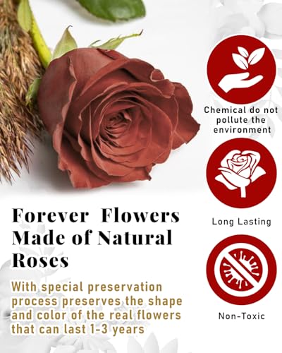 Changshunqi 16 Flowers Forever Preserved Roses in Heart Box, Preserved Flowers Womens Birthday Gifts for Women Mothers Rose Gift for Her Romantic Eternal Real Rose for Women Mom Wife - color: Caramel
