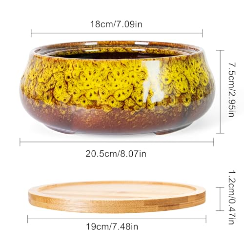 ARTKETTY Succulent Pots - 8 Inch Plant Pot, Large Bonsai Pots with Drainage Tray, Ceramic Planters for Indoor Outdoor Plants, Round Shallow Cactus Flower Plant Container Bowl Decorative Home Garden - color: Yellow
