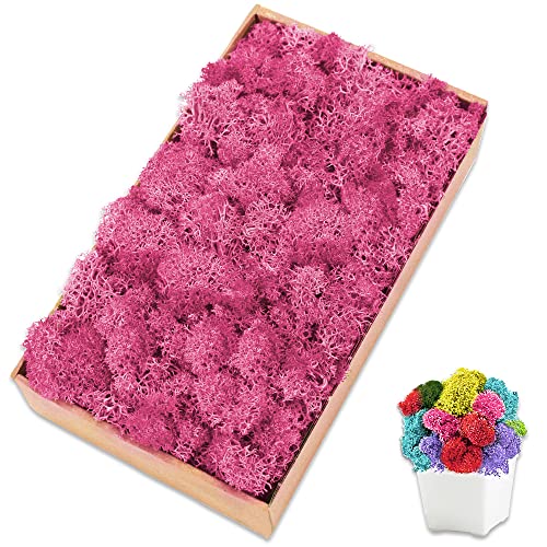 Preserved Moss for Crafts Pink Reindeer Moss for Potted Plants, Craft Decorative Moss Decor for Wall Art, Dried Moss(7oz, Pink) - color: Pink, size: 7 OZ
