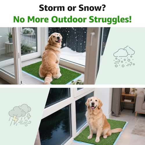 Fake Grass for Dogs - Artificial Pee Grass for Dog Potty Tray Training Pet Turf - Indoor and Outdoor Mat for Pet Training with Drainage Hole (39.4" X 19.7") - size: 39.4" X 19.7"