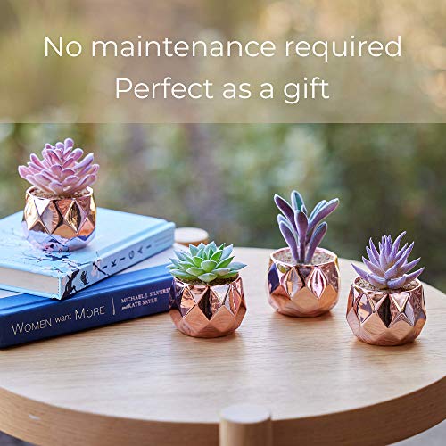Nordik Set of 4 Desk Plants in Rose Gold - Office Decor for Women, Indoor, Living Room, Bedroom, Home and Desk Decor – Pink Faux Succulents Geometric Ceramic Planters - color: Rose Gold