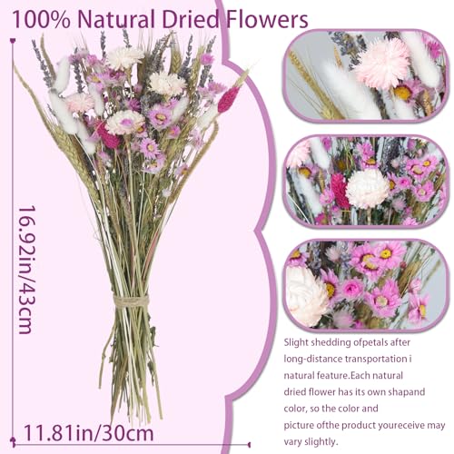 Dried Flowers Bouquet Dried Daisy Flower Natural Lavender Dry Flower Bunny Tails Pink Gerber Daisies Flowers Wheat Stalks Floral Stems Arrangements for Vase Table Centerpiece Decor Farmhouse - color: Pink, Natural