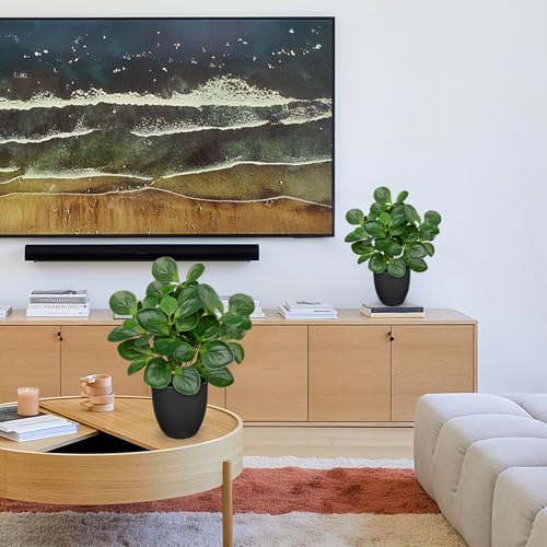 14.5" Artificial Plants Indoor Home Decor, Fake Potted Silk Plants for Shelves Living Room Decor, Small Artificial Office Desk Plants in Pots, Faux Peperomia Hope Tropical House Plant, Sets of 2 - color: 2 Sets # Total Green