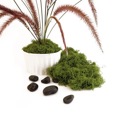 Green Moss Crafts, Artificial Grass Forest Potted Plants, DIY Craft Decoration for Wedding Christmas Party Decoration, Garden Flower Pots Home Decoration Indoor Planting (5.29 Ounces) - color: green, size: 150g