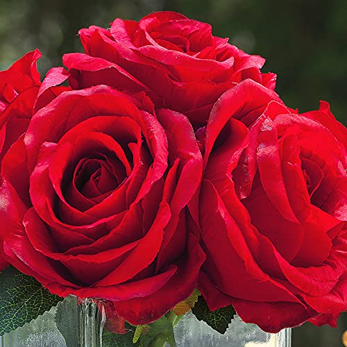 Enova Floral 7 Large Stems Artificial Silk Roses Fake Flowers Arrangement in Cube Glass Vase with Faux Water for Home Office Wedding Decoration (Red) - color: Red