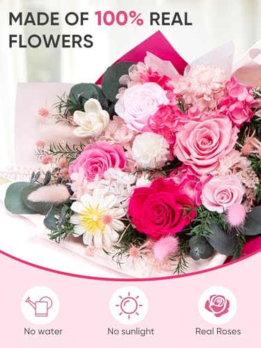 Bessol Flowers for Delivery Preserved Flower Bouquet Forever Fresh Flowers Birthday Gifts for Women Mom Anniversary Red Real Rose Gifts for Grandma Wife Girlfriend Sister Her from Daughter - color: Pink Preserved Flower Bouquet, size: Large