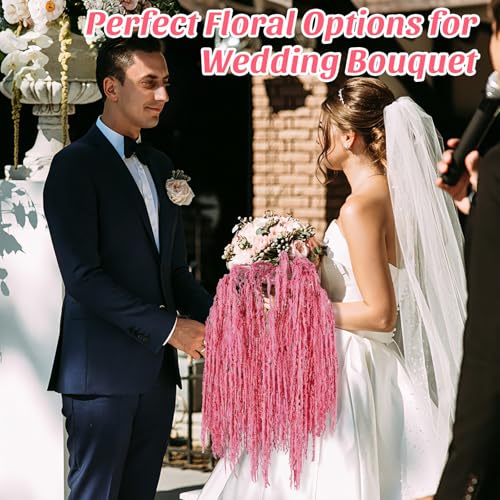 Suncalla 12 Pcs Rose Pink Spring Natural Dried Amaranthus Hanging Flowers Amaranthus Artificial Flowers for Wedding Arch Bouquet Floral Garland Wall Home Decoration (23 Inch) - color: Rose Pink