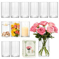 12pcs Thick Glass Cylinder Vase 6 Inch – Clear Glass Flower Vase & Floating Candle Holders for Centerpieces,Cylinder Vases Bulk Weighted Base for Wedding, Home & Dining Table Décor Gift - size: Smooth-12PCS