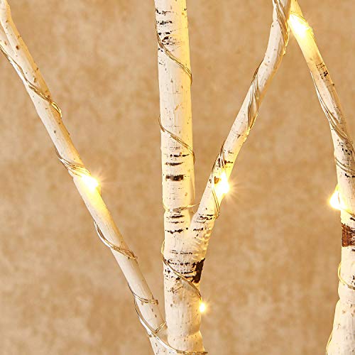 Hairui Lighted Birch Branches Plug in with Timer 30IN 150 LED Fairy Lights, White Willow Branch Lights for Christmas Fireplace Room Vase Decoration Indoor Outdoor Use (Vase Excluded) - style: White Birch+Warm White 1set