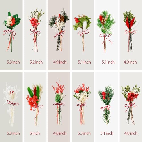10/12/24/36 Pack Mini Dried Flowers for Vase Christmas in July Wedding Various Mini Bouquet Dried Small Wildflowers Natural Flowers Bulk for Crafts DIY Decor (12, Christmas Color) - size: Christmas Color