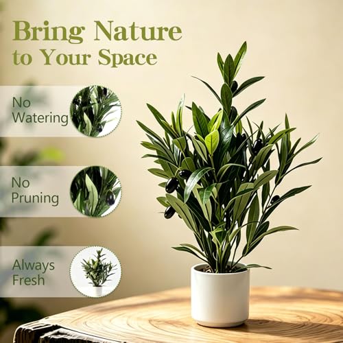 2 Pcs Artificial Olive Potted Plants, 16" Faux Greenery with Pot, Fake Green Plants Olive Stems Tables Centerpiece for Desk Shelf Cabinet Bedroom Livingroom Kitchen Indoor Home Decor - color: Potted Olive-2p