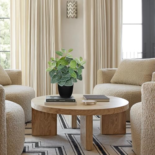 14.5" Artificial Plants Indoor Home Decor, Fake Potted Silk Plants for Shelves, Desks, Living Room, Home & Office Decor, Small Artificial Nerve Plant in Pots, Faux Potted Greenery Tropical House Plant - color: #Green Nerve Plant