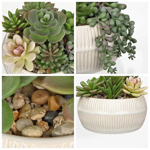 DILATATA Artificial Succulent Plants in Pot 5.5 Inch Fake Succulents Arrangement Potted Plant in White Ceramic Planter Bowl for Home Office Desk Shelf Living Room Bedroom Bathroom Decor - color: White Ceramic#style 4