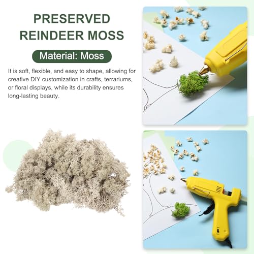 MECCANIXITY 4.6oz Preserved Reindeer Moss, Brown Decorative Artificial Fake Moss for Potted Plants Indoor Crafts Lichen Centerpieces Decor - color: Brown, size: 4.6oz